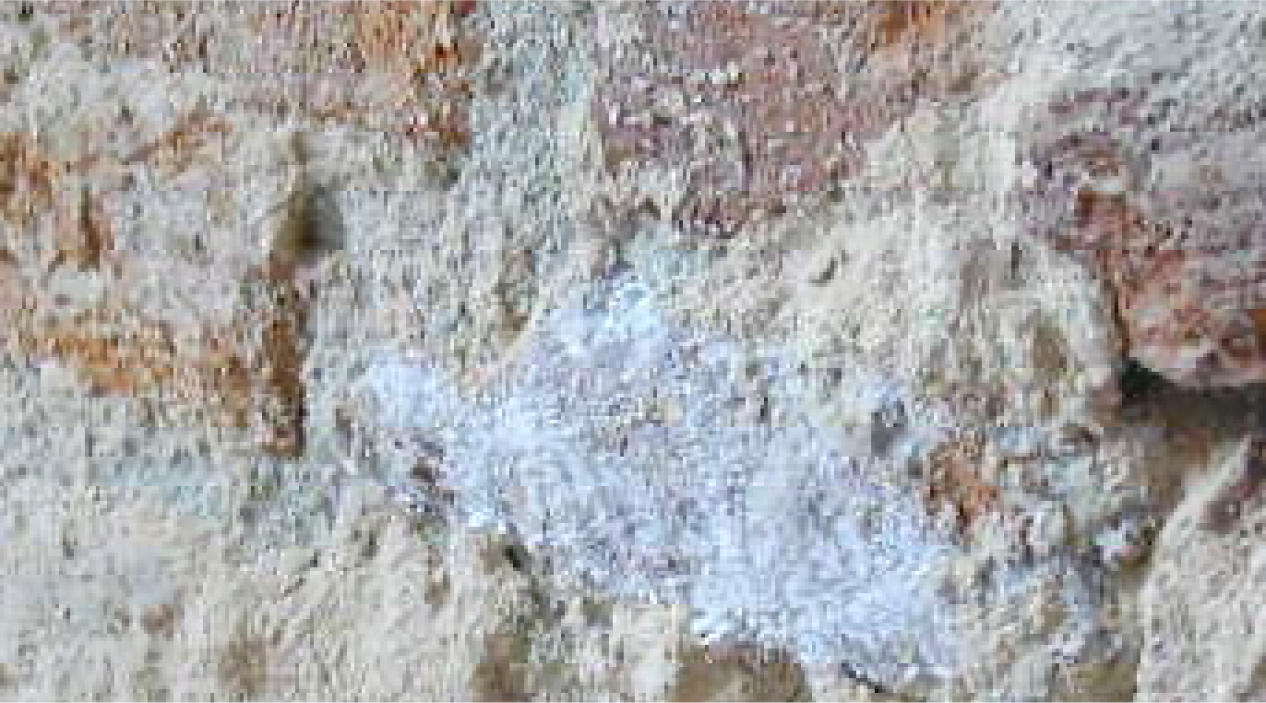 tecniche_1